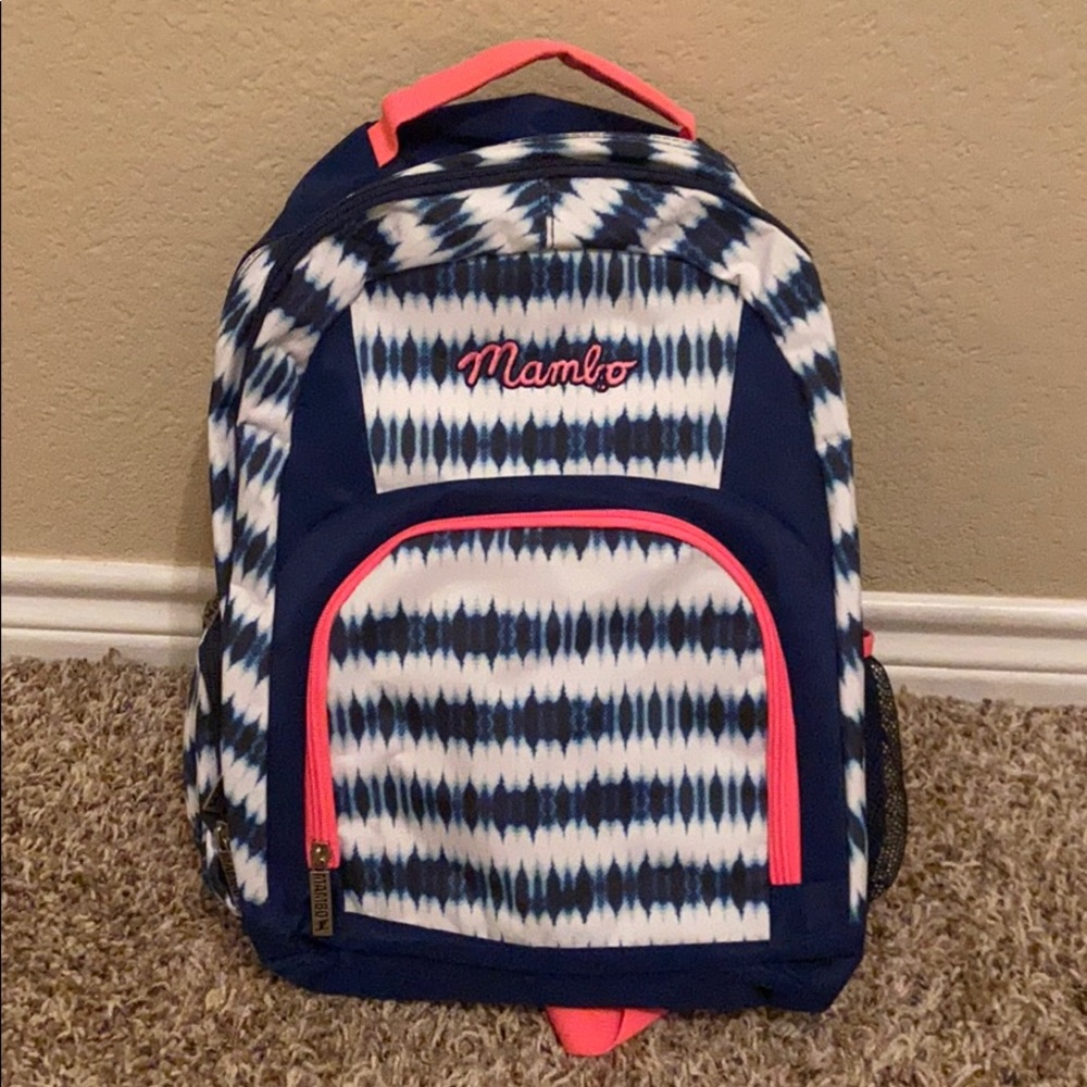 Striped Blue and Pink Backpack